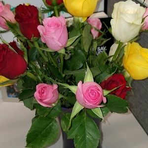 Meet your Posher, Bonnie